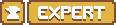 Expert