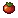 Tomato Crop