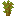 Pousse d'acacia