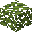 Feuilles d'azalée