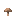 Champignon brun
