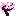 Pousse de cerisier