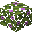 Feuilles d'azalée fleurie