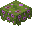 Azalée fleurie