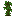 Pousse d'acajou