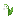 Muguet