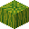 Pastèque