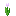 Tulipe rose