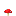 Champignon rouge