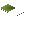 Petite foliogoutte